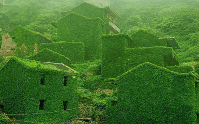 In Cina un villaggio abbandonato è stato riconquistato dalla Natura in maniera spettacolare