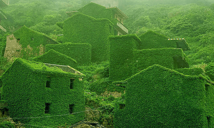 In Cina un villaggio abbandonato è stato riconquistato dalla Natura in maniera spettacolare