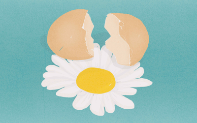 Intervista illustrata alla scoperta delle “involuzioni” concettuali di Elia Sampò