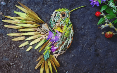 Un artista realizza ritratti di uccelli usando foglie e fiori raccolti nella foresta