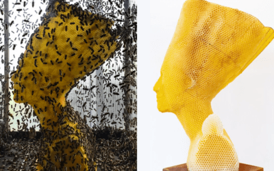 Queste sculture sono il frutto del lavoro di 60.000 api