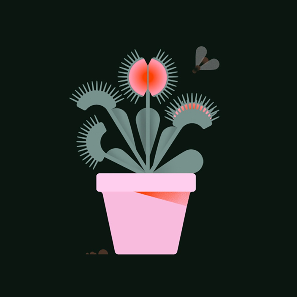 alessia margarita picame