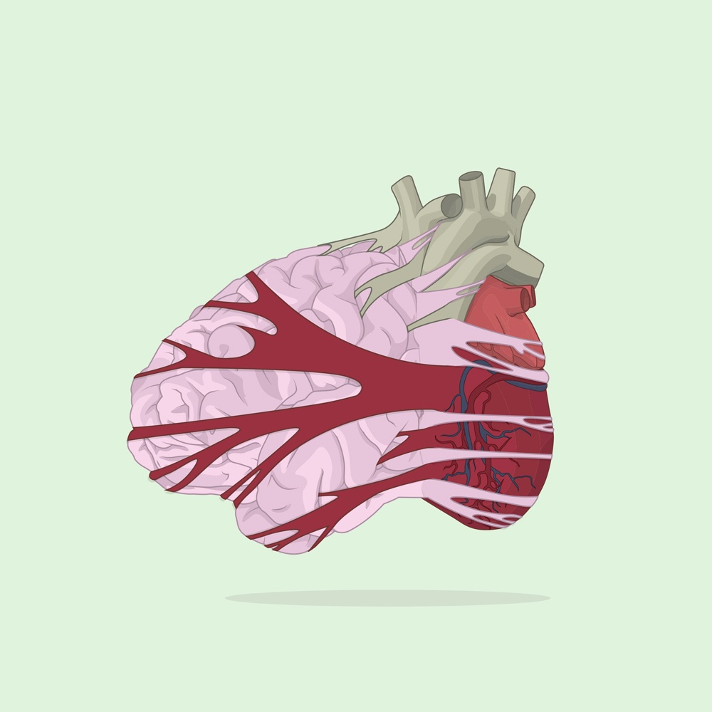 alvaro castro picame