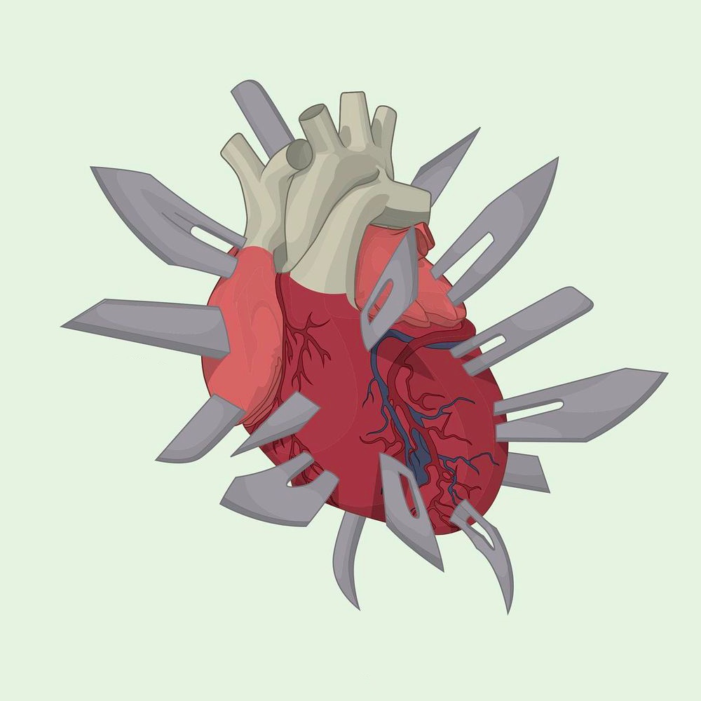 alvaro castro picame