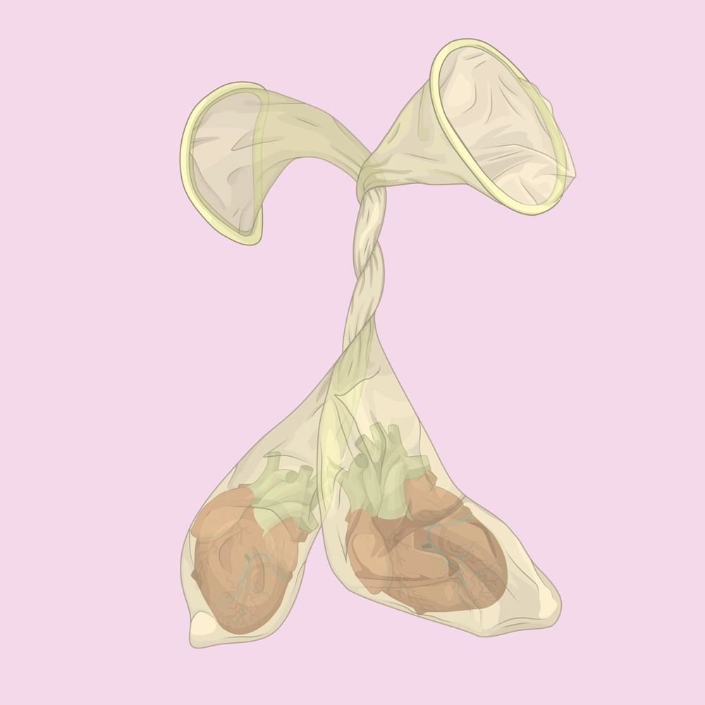 alvaro castro picame