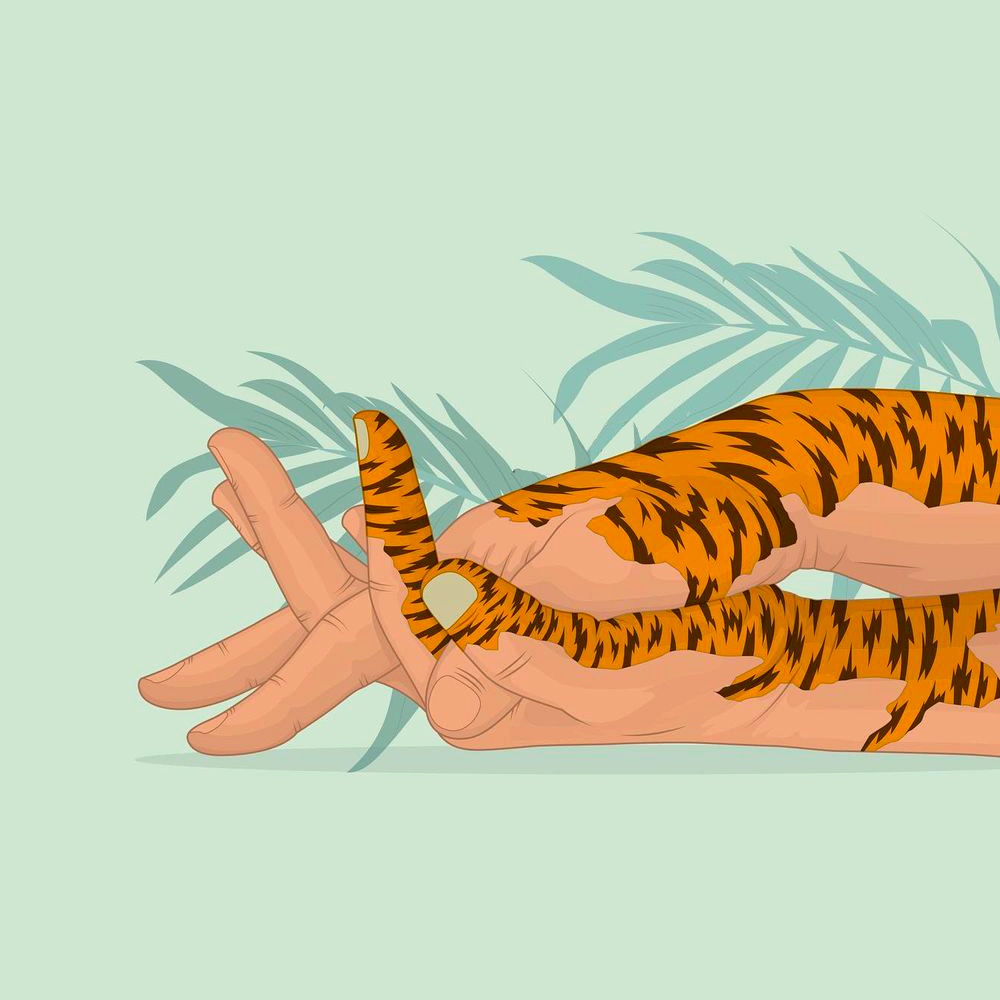 alvaro castro picame