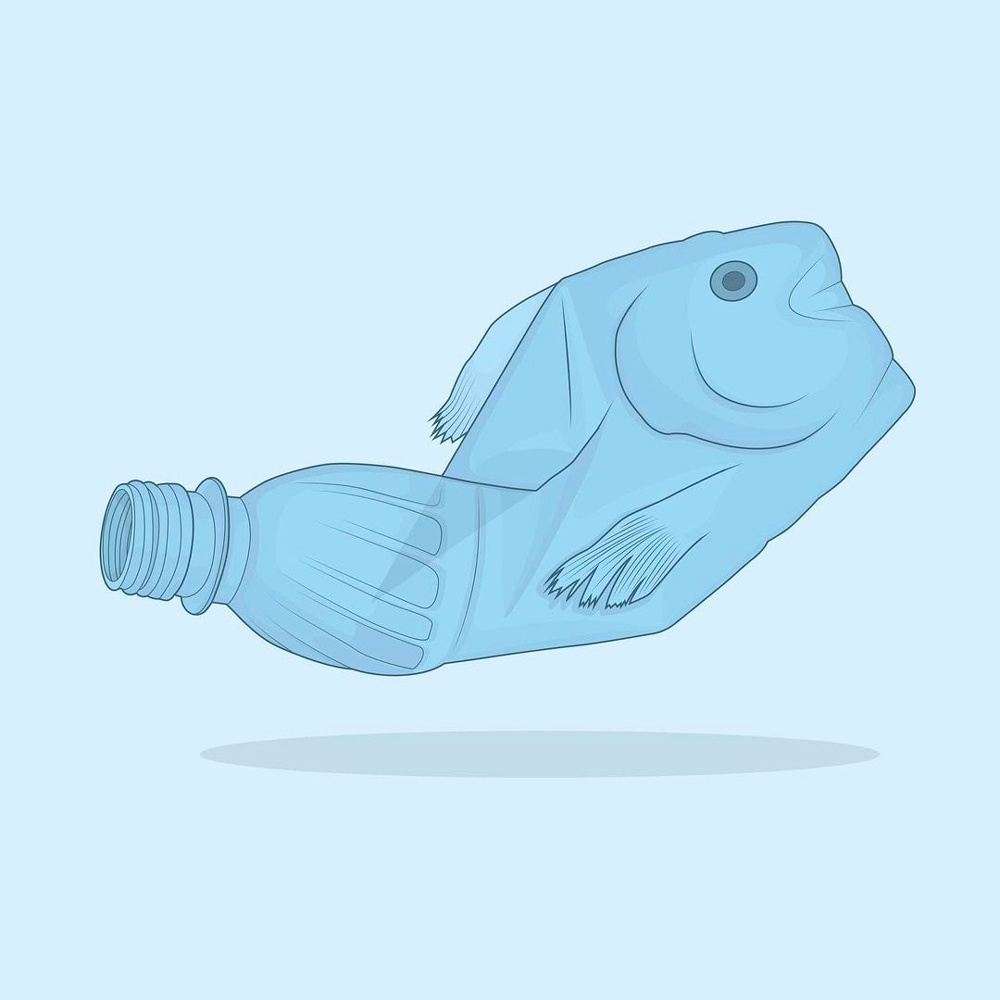 alvaro castro picame