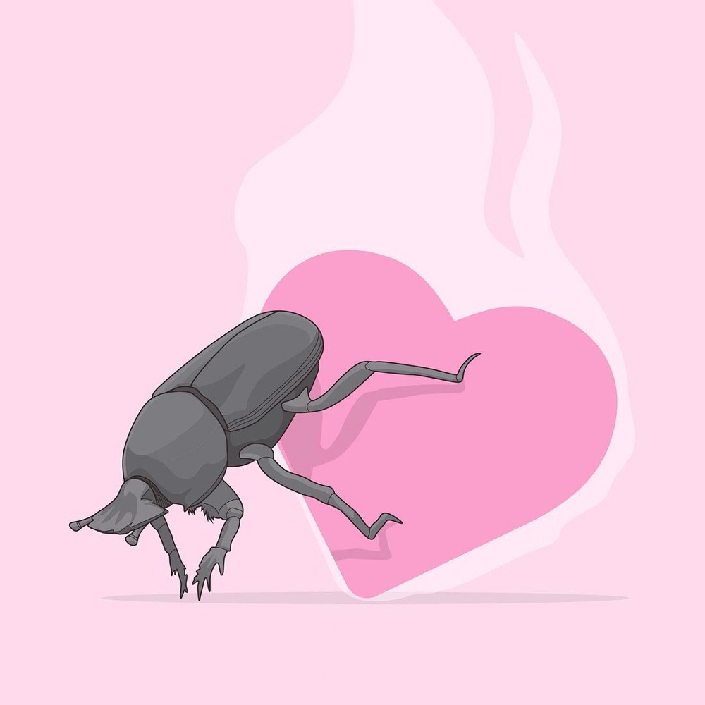 alvaro castro picame