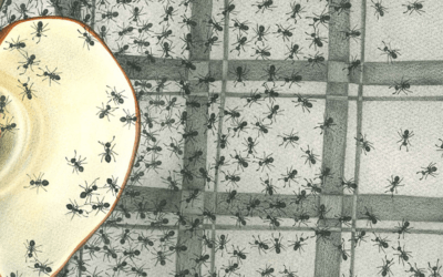 Di vita, morte e altri enigmi dell’esistenza umana: intervista a Giovanni Berton