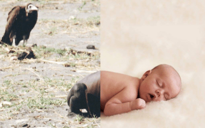 Stesso pianeta, destini diversi: il controverso e toccante progetto di Ugur Gallen