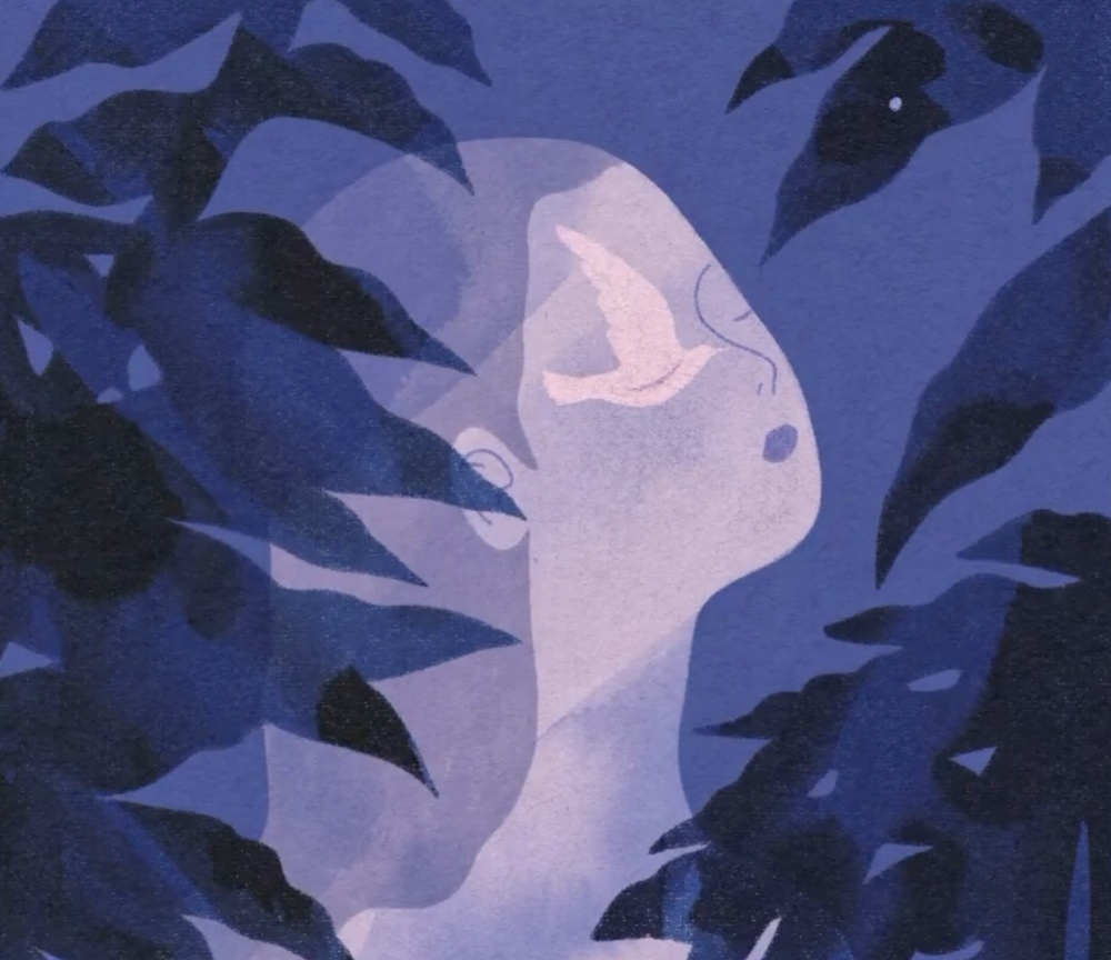 jiatong liu picame
