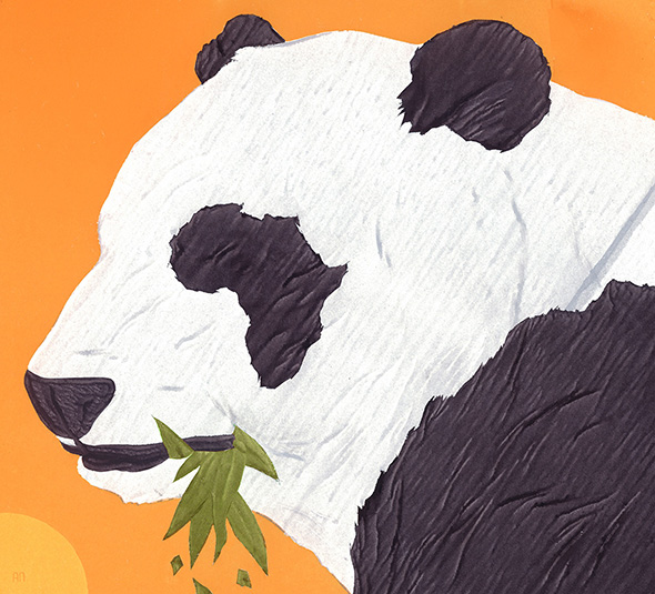 alex-nabaum-picame-10