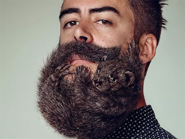 Animals as Beards – Free Your Skin