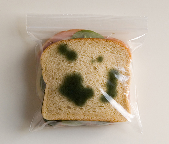 The Anti-Theft Lunch Bag