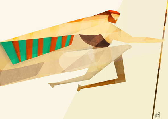 Le illustrazioni di Eleonora Moretti