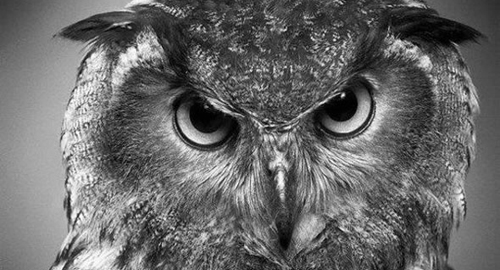 IT IS REALLY A DRAWING?